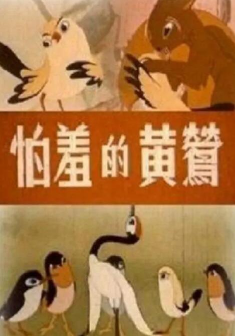 久久婷婷视频
